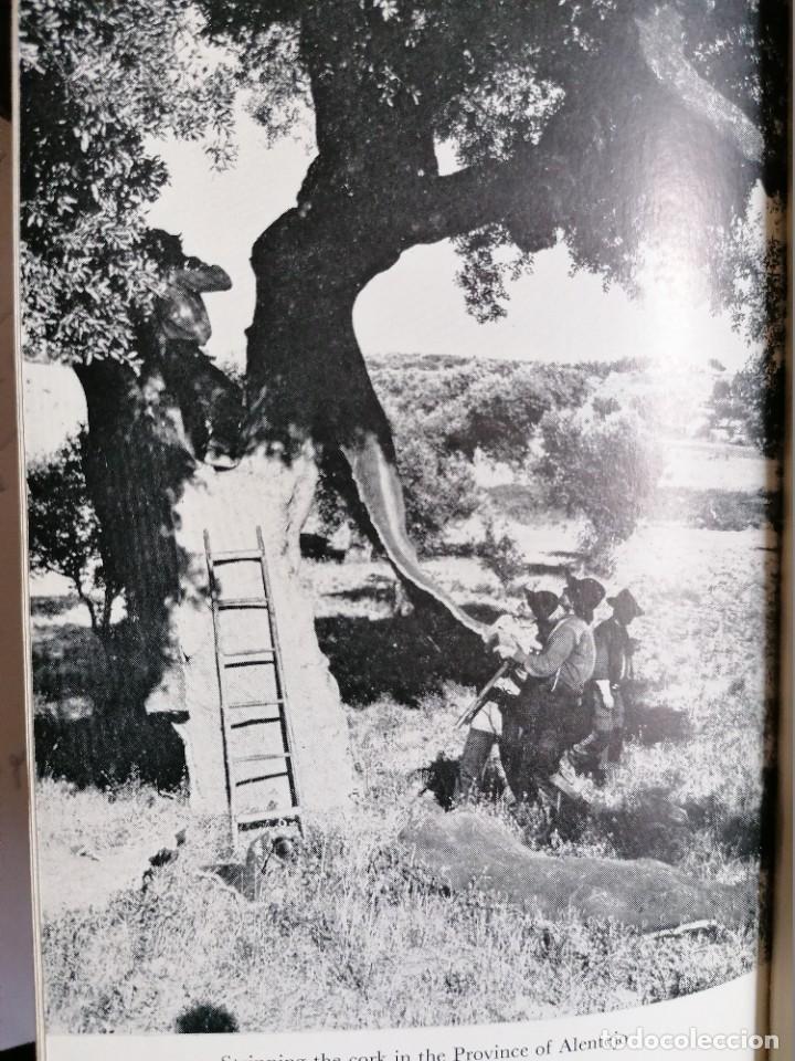 Libros de segunda mano: PORTUGAL - Foto 7