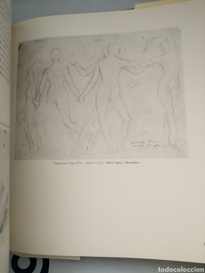 Libros de segunda mano: Jean-Auguste-Dominique Ingres - Foto 9