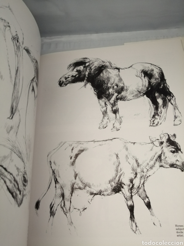 Libros de segunda mano: INTRODUCTION TO DRAWING - Foto 4