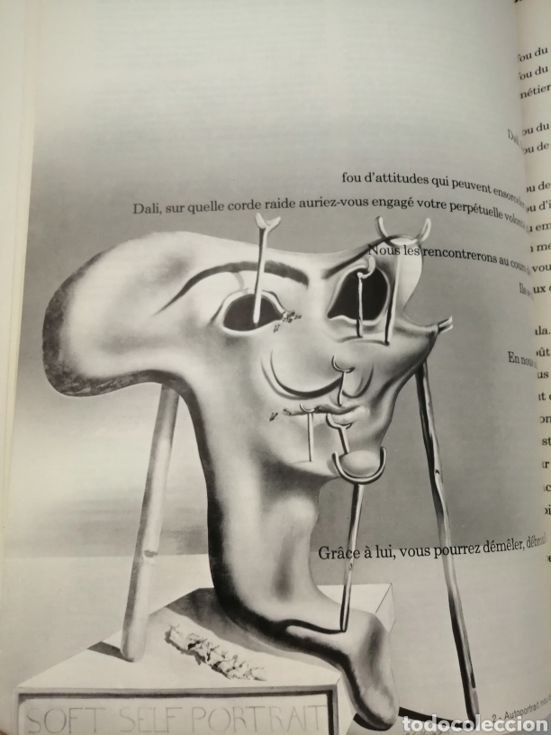 Libros de segunda mano: DAL&Iacute;. DAL&Iacute;. DAL&Iacute; - Foto 3