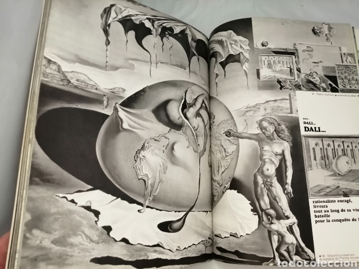 Libros de segunda mano: DAL&Iacute;. DAL&Iacute;. DAL&Iacute; - Foto 8