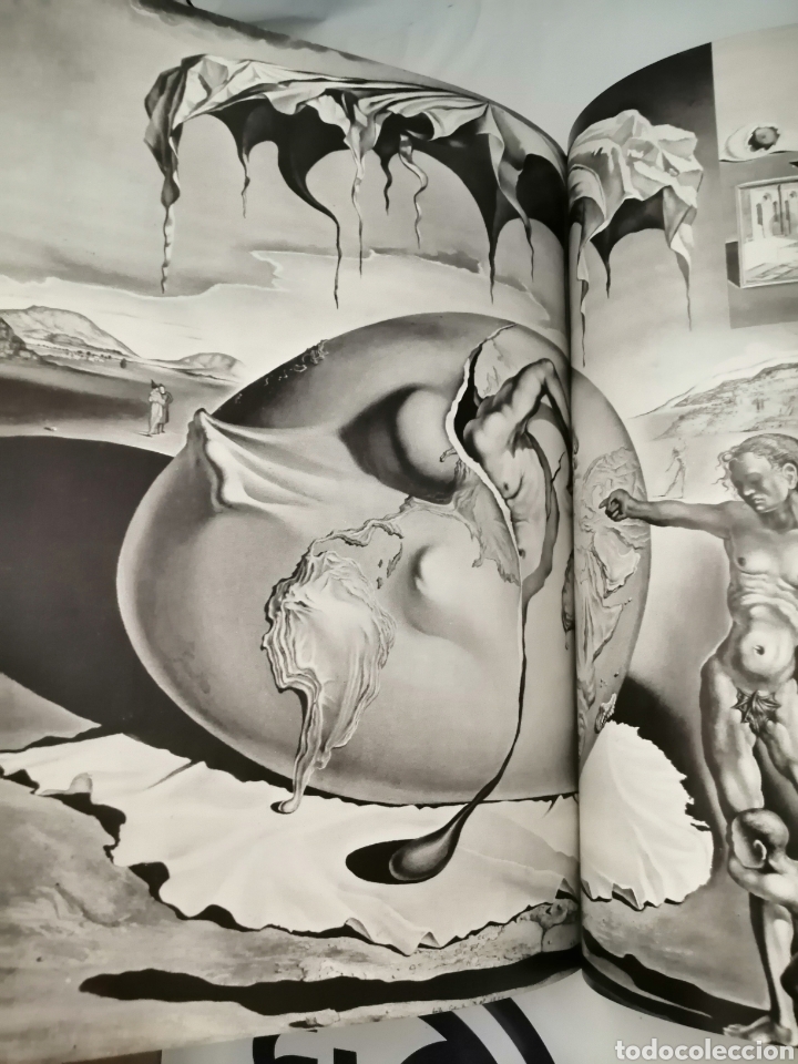 Libros de segunda mano: DAL&Iacute;. DAL&Iacute;. DAL&Iacute; - Foto 9