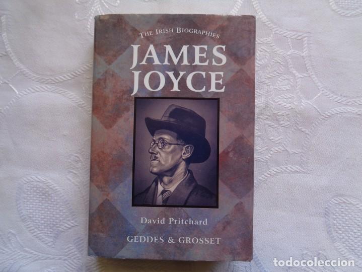 Libros de segunda mano: DAVID PRITCHARD. JAMES JOYCE. 2001. - Foto 1