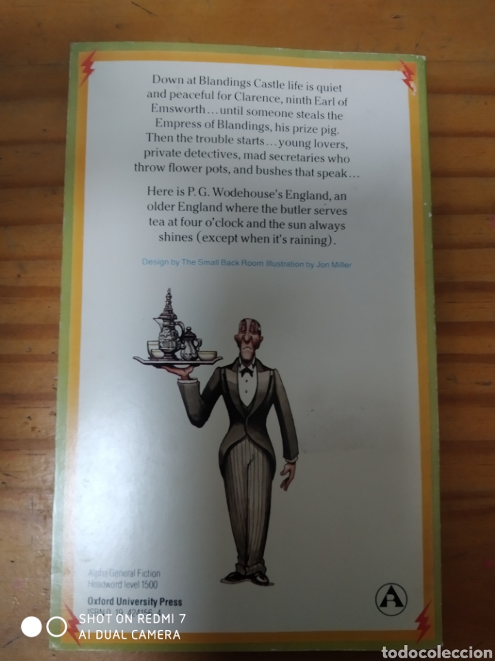 Libros de segunda mano: Summer Lightning - Foto 2