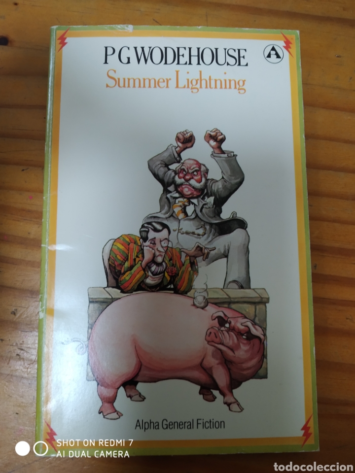 Libros de segunda mano: Summer Lightning - Foto 1