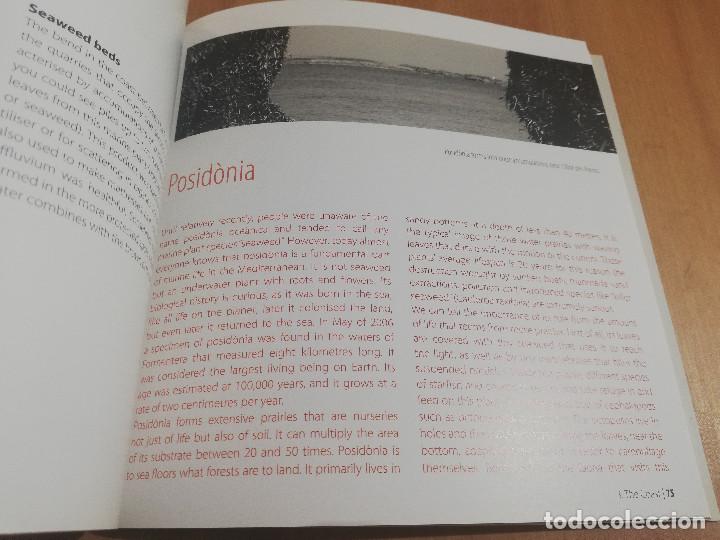 Libros de segunda mano: GUIDE TO SON REAL - Foto 8