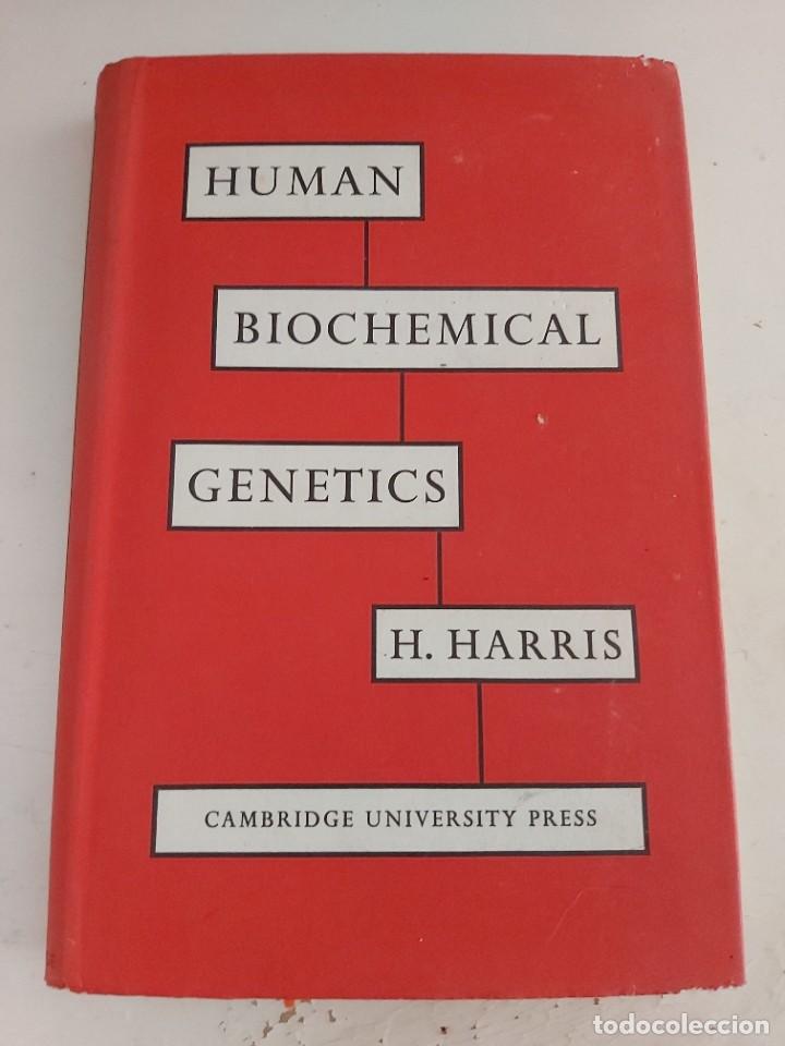 Libros de segunda mano: HUMAN BIOCHEMICAL GENETICS . HARRIS. EN INGL&Eacute;S. - Foto 1