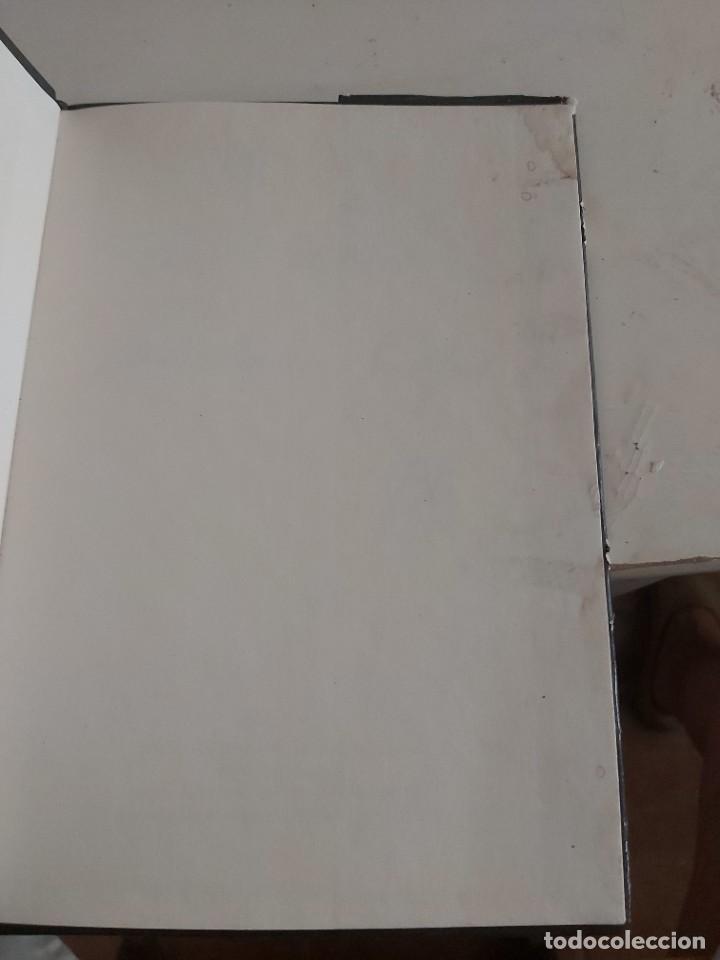 Libros de segunda mano: DIER ZEITEN HAT DER LEBENDIGE WALD. EN ALEM&Aacute;N. - Foto 3