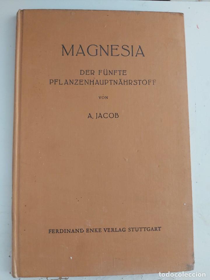 Libros de segunda mano: MAGNESIA. JACOB . EN ALEM&Aacute;N. - Foto 1