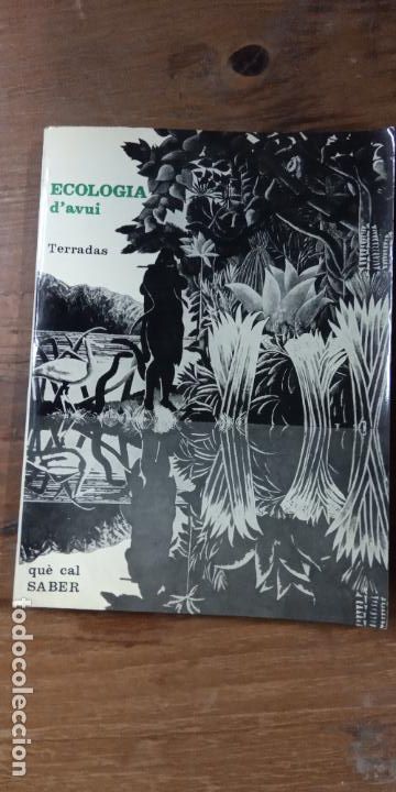 Libros de segunda mano: ECOLOGIA DAVUI. TERRADAS. EDITORIAL TEIDE - Foto 1