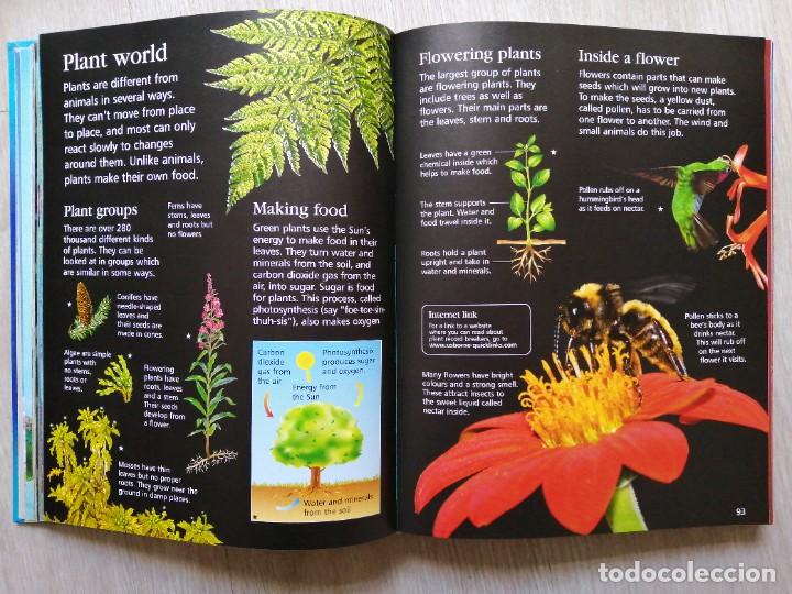 Libros de segunda mano: The Usborne Childrens encyclopedia. 2011. En ingl&eacute;s. - Foto 11