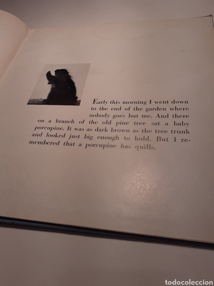 Libros de segunda mano: Gregory, Will y Rita Vandivert, ingl&eacute;s, 1960 - Foto 6