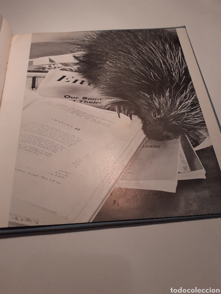 Libros de segunda mano: Gregory, Will y Rita Vandivert, ingl&eacute;s, 1960 - Foto 7