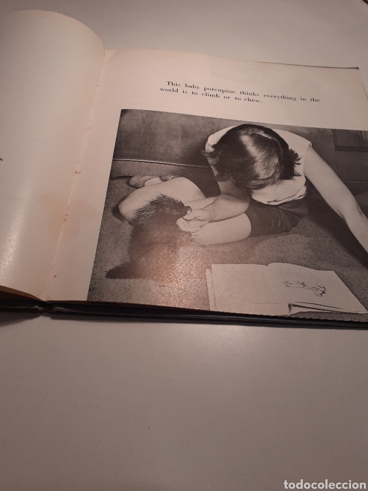 Libros de segunda mano: Gregory, Will y Rita Vandivert, ingl&eacute;s, 1960 - Foto 9