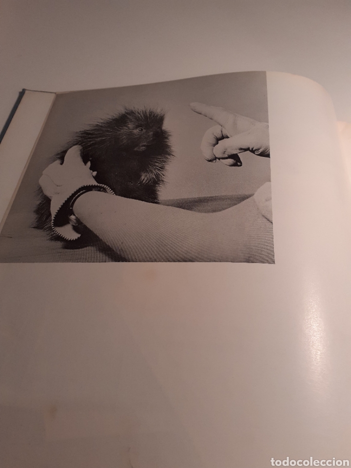 Libros de segunda mano: Gregory, Will y Rita Vandivert, ingl&eacute;s, 1960 - Foto 12