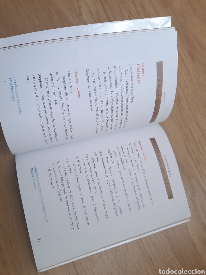 Libros de segunda mano: LIBRO FRANCES - LE SOUVENIR D &Eacute;GYPTE - Foto 2