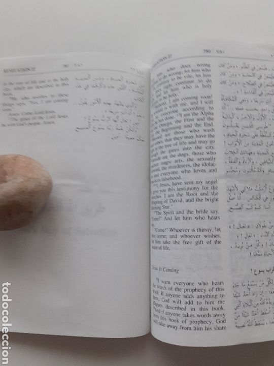 Libros de segunda mano: Biblia biling&uuml;e Arabe Ingl&eacute;s 1984 - Foto 8