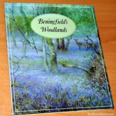 Libros de segunda mano: PRECIOSO LIBRO ILUSTRADO EN INGLÉS: BENINGFIELD'S WOODLANDS - DE GORDON BENINGFIELD - AÑO 2003