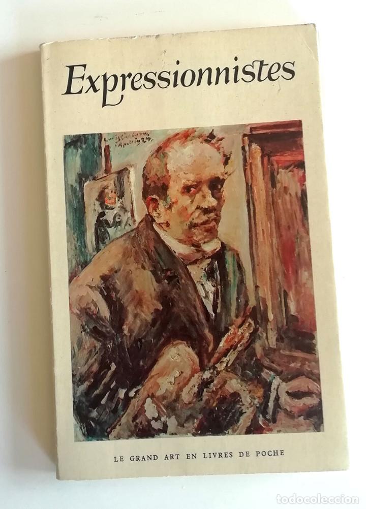 Libros de segunda mano: Expressionistes. Libro de bolsillo sobre el arte expresionista con p&aacute;ginas desplegables a color.
