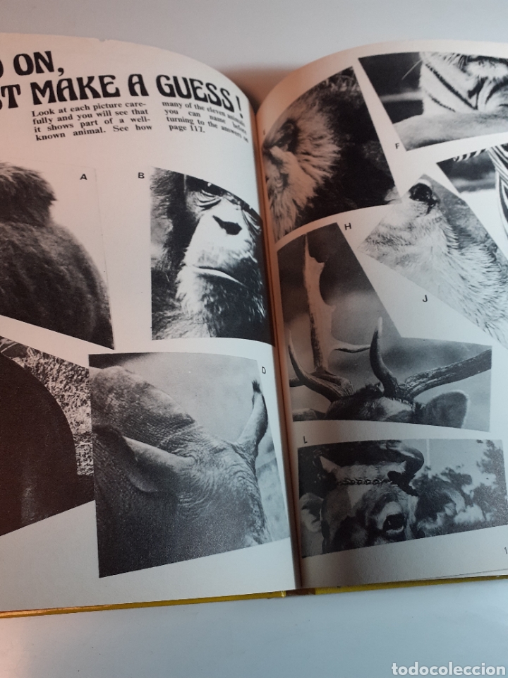 Libros de segunda mano: Eagle annual 1975, ingl&eacute;s - Foto 11
