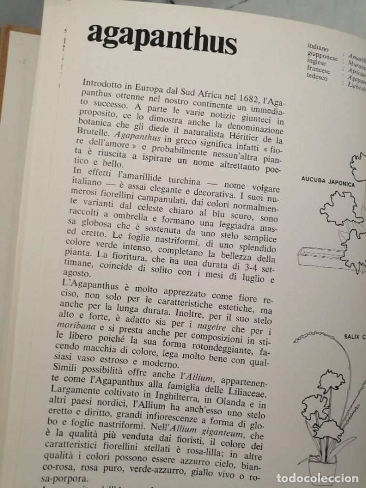 Libros de segunda mano: ALFABETO IKEBANA - Foto 12
