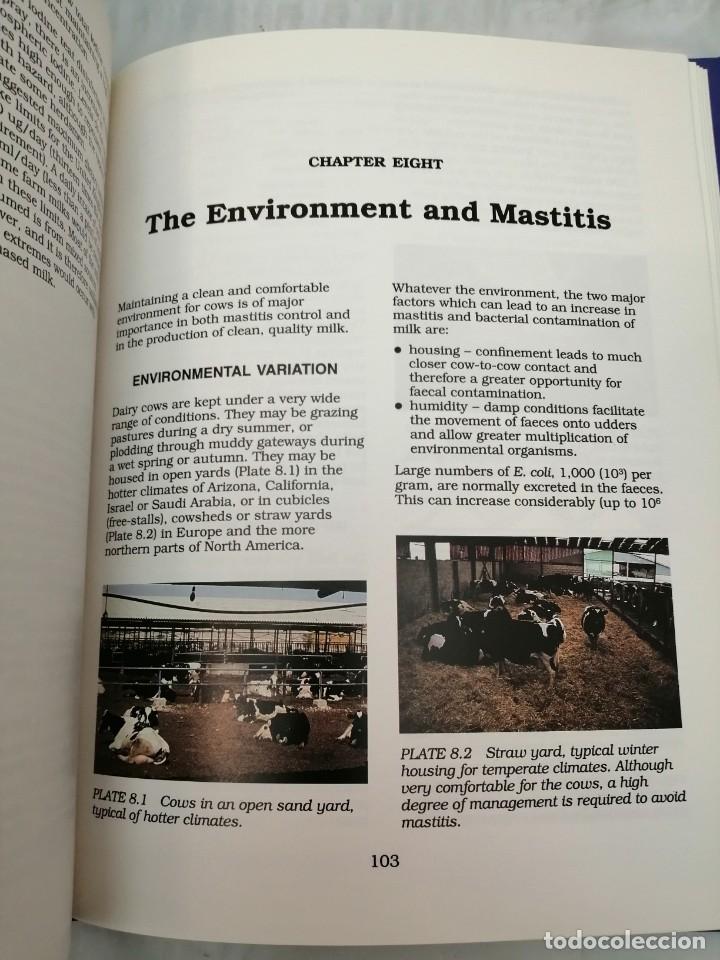 Libros de segunda mano: MASTITIS CONTROL IN DAIRY HERDS: ILLUSTRATED AND PRACTICAL GUIDE - Foto 3