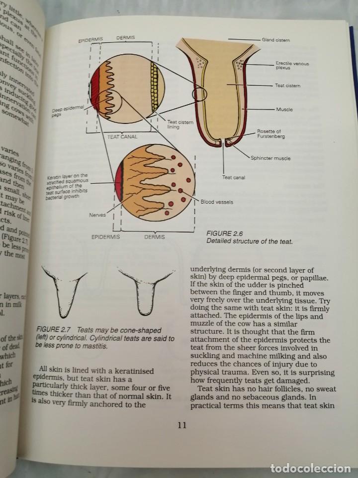 Libros de segunda mano: MASTITIS CONTROL IN DAIRY HERDS: ILLUSTRATED AND PRACTICAL GUIDE - Foto 4