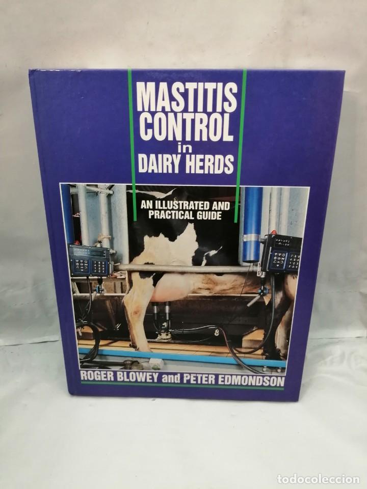 Libros de segunda mano: MASTITIS CONTROL IN DAIRY HERDS: ILLUSTRATED AND PRACTICAL GUIDE - Foto 1