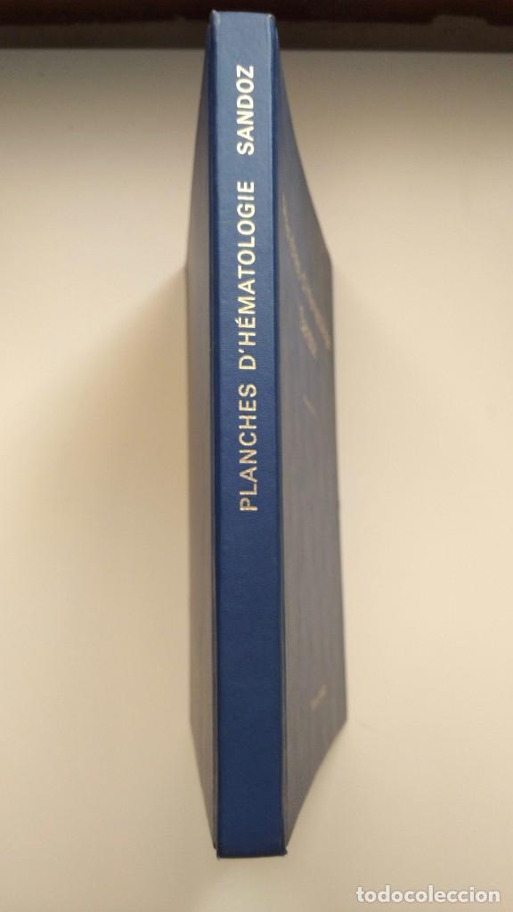 Libros de segunda mano: Planches d&acute;H&eacute;matologie Sandoz - Sandoz, 1972 (Franc&eacute;s) - Foto 2