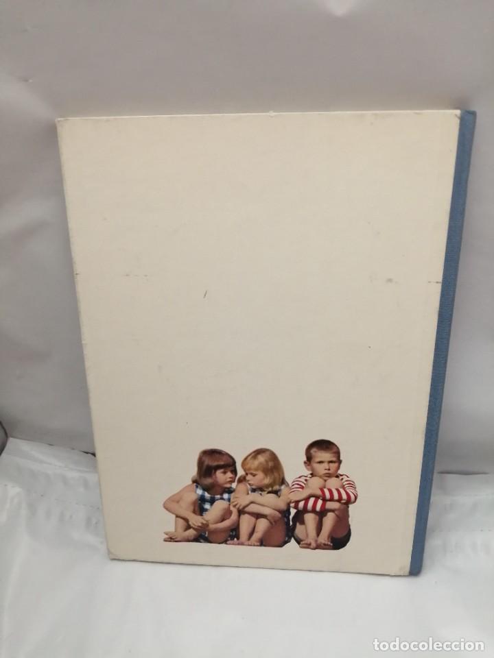 Libros de segunda mano: THE ENCHANTED FOREST (FIRST EDITION, HARDCOVER) - Foto 2