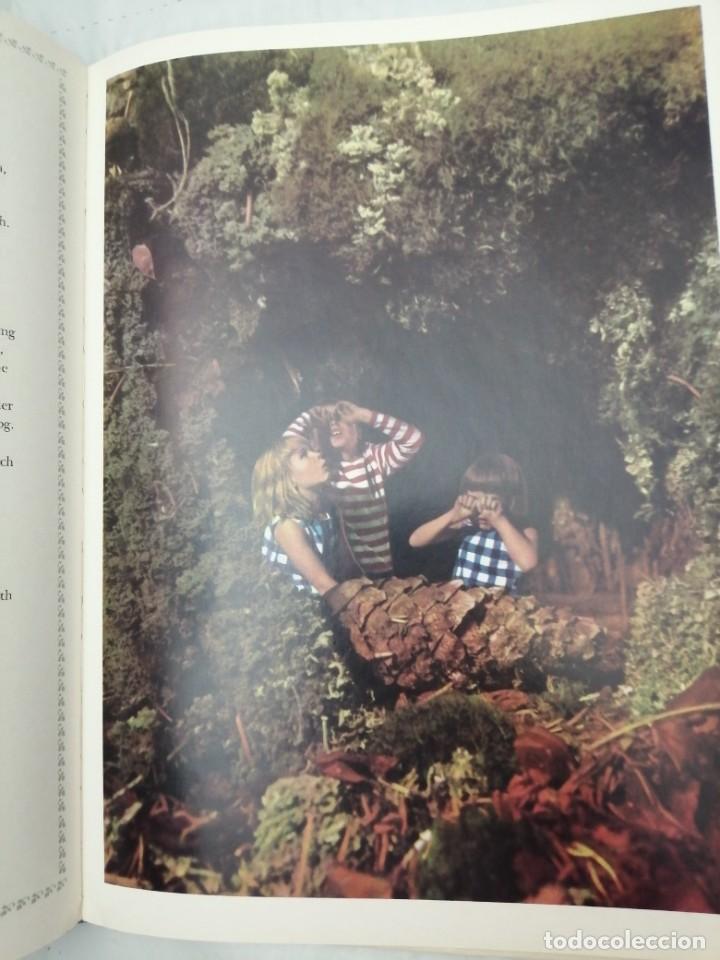 Libros de segunda mano: THE ENCHANTED FOREST (FIRST EDITION, HARDCOVER) - Foto 4