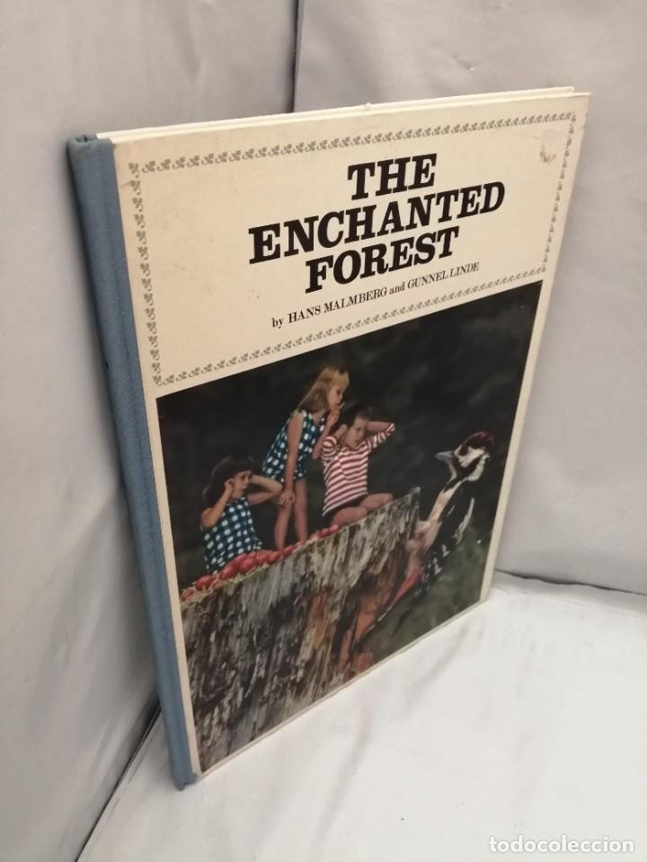 Libros de segunda mano: THE ENCHANTED FOREST (FIRST EDITION, HARDCOVER) - Foto 7