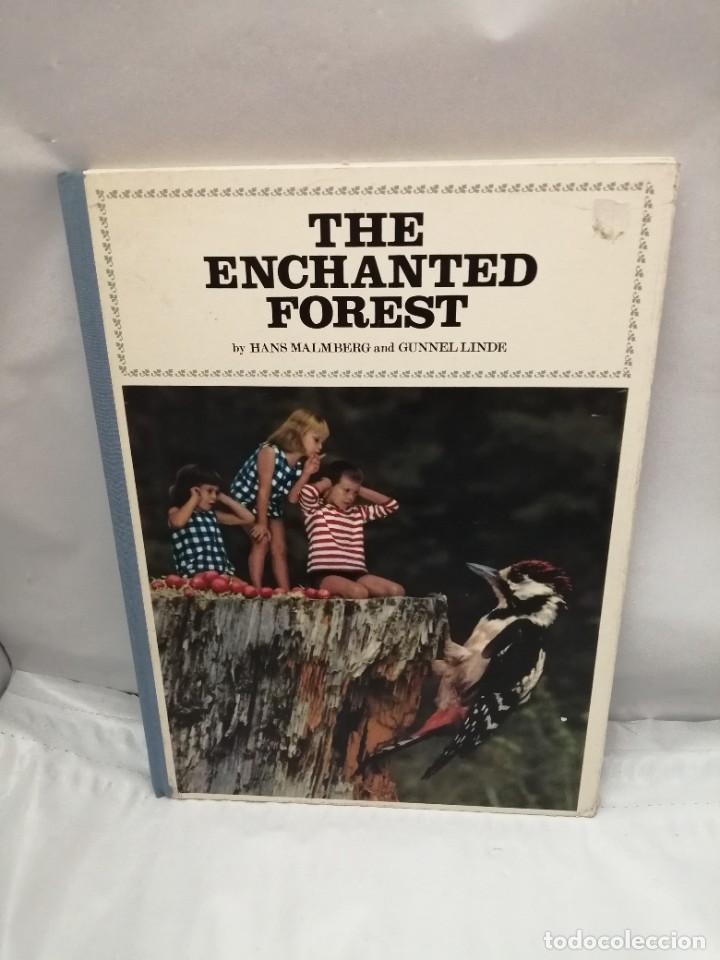 Libros de segunda mano: THE ENCHANTED FOREST (FIRST EDITION, HARDCOVER) - Foto 1