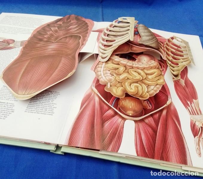 Libros de segunda mano: libro ingles cuerpo humano 3D - Foto 2