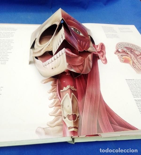 Libros de segunda mano: libro ingles cuerpo humano 3D - Foto 3