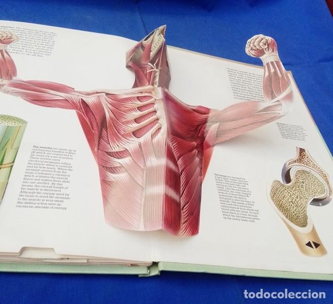 Libros de segunda mano: libro ingles cuerpo humano 3D - Foto 5