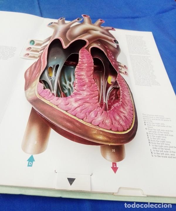 Libros de segunda mano: libro ingles cuerpo humano 3D - Foto 6