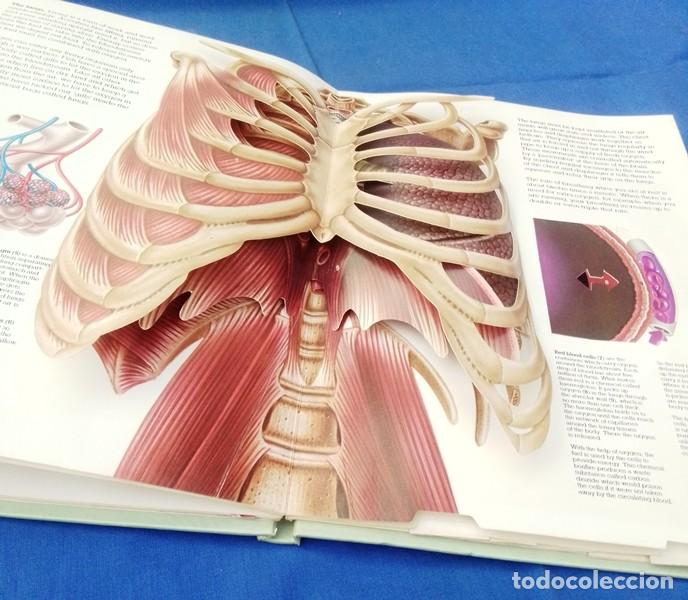 Libros de segunda mano: libro ingles cuerpo humano 3D - Foto 7