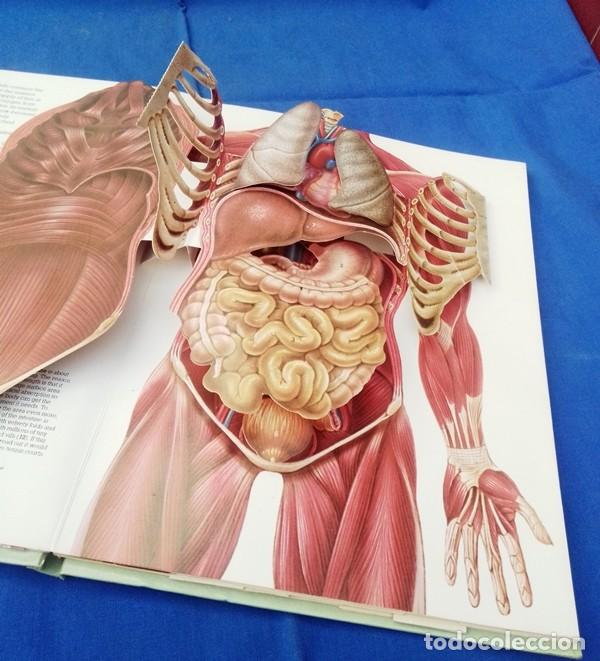 Libros de segunda mano: libro ingles cuerpo humano 3D - Foto 8