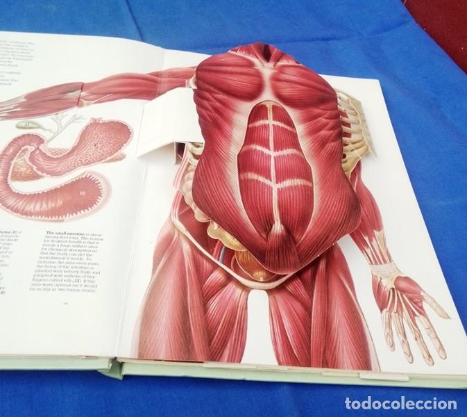 Libros de segunda mano: libro ingles cuerpo humano 3D - Foto 9