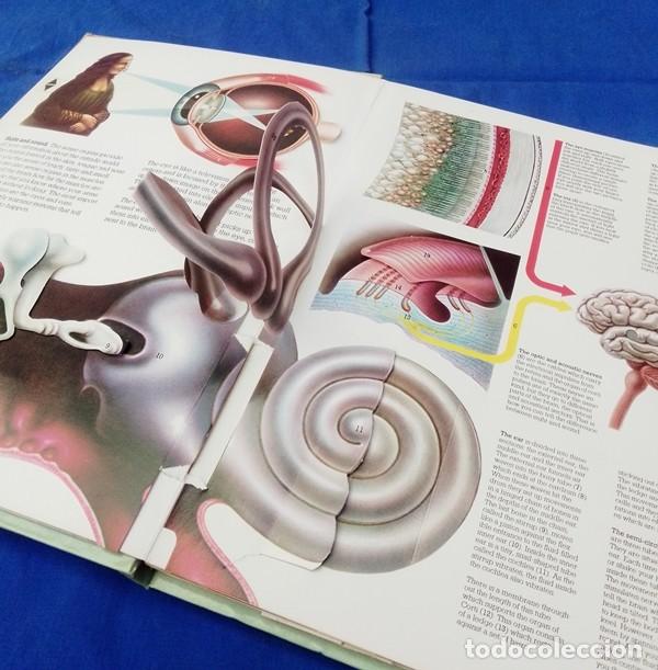 Libros de segunda mano: libro ingles cuerpo humano 3D - Foto 10