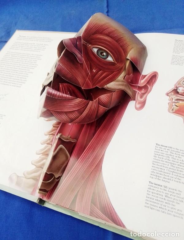 Libros de segunda mano: libro ingles cuerpo humano 3D - Foto 4