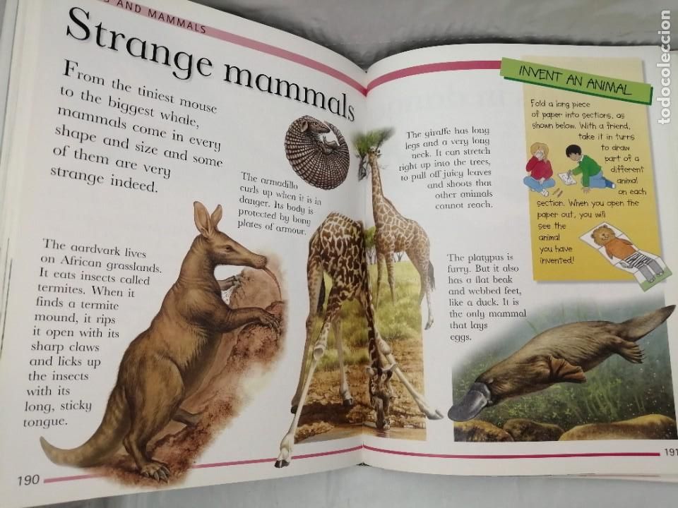 Libros de segunda mano: YOUR WORLD: A FIRST ENCYCLOPEDIA (FIRST EDITION, HARDCOVER) - Foto 6
