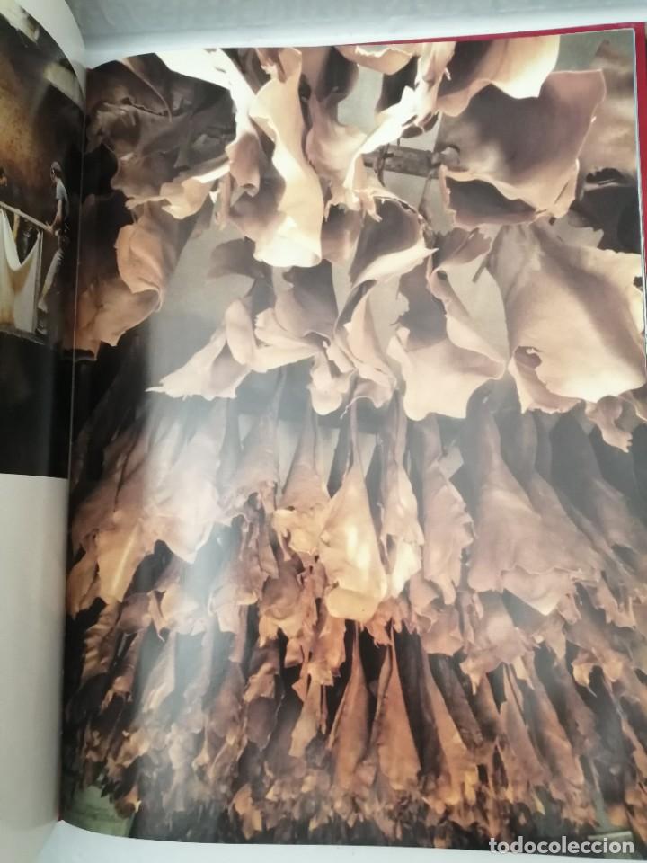 Libros de segunda mano: FLORENCE IS (HARDCOVER) - Foto 3