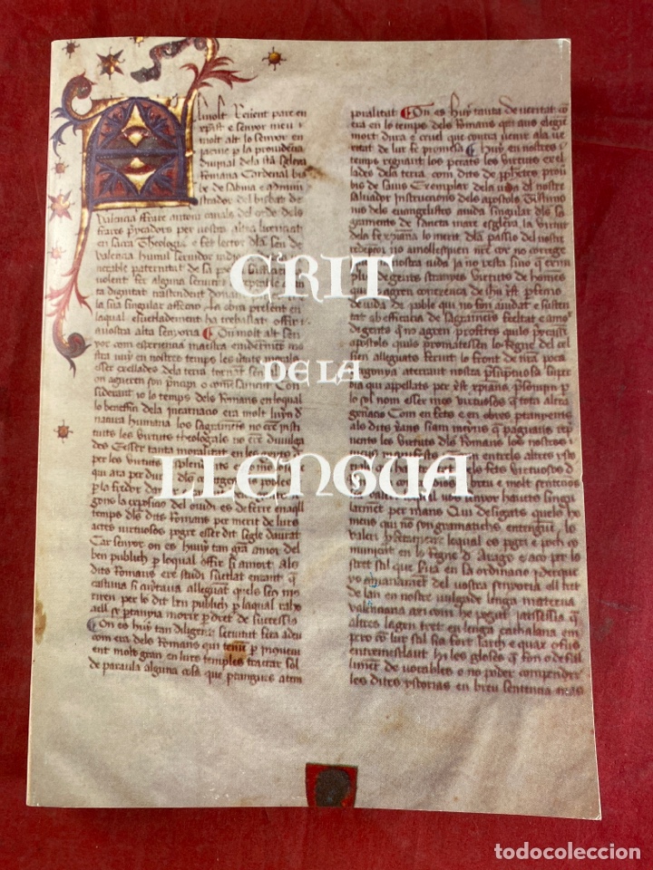 Libros de segunda mano: CRIT DE LA LLENGUA. TESTIMONIS - Foto 1