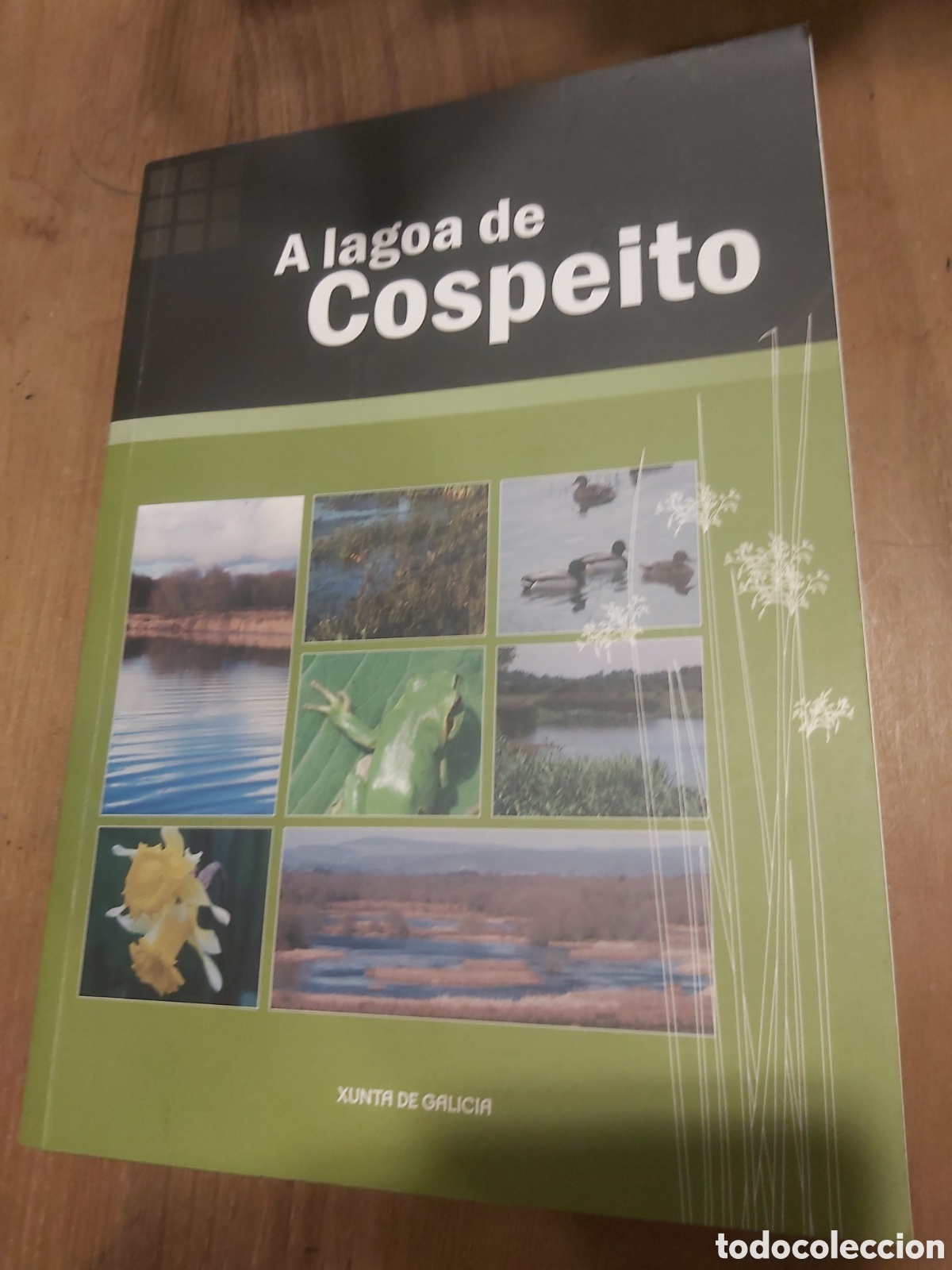 Libros de segunda mano: Ss lagos de cospeito Lugo 128 p&aacute;ginas cospeito naturaleza Fauna aves p&aacute;jaros