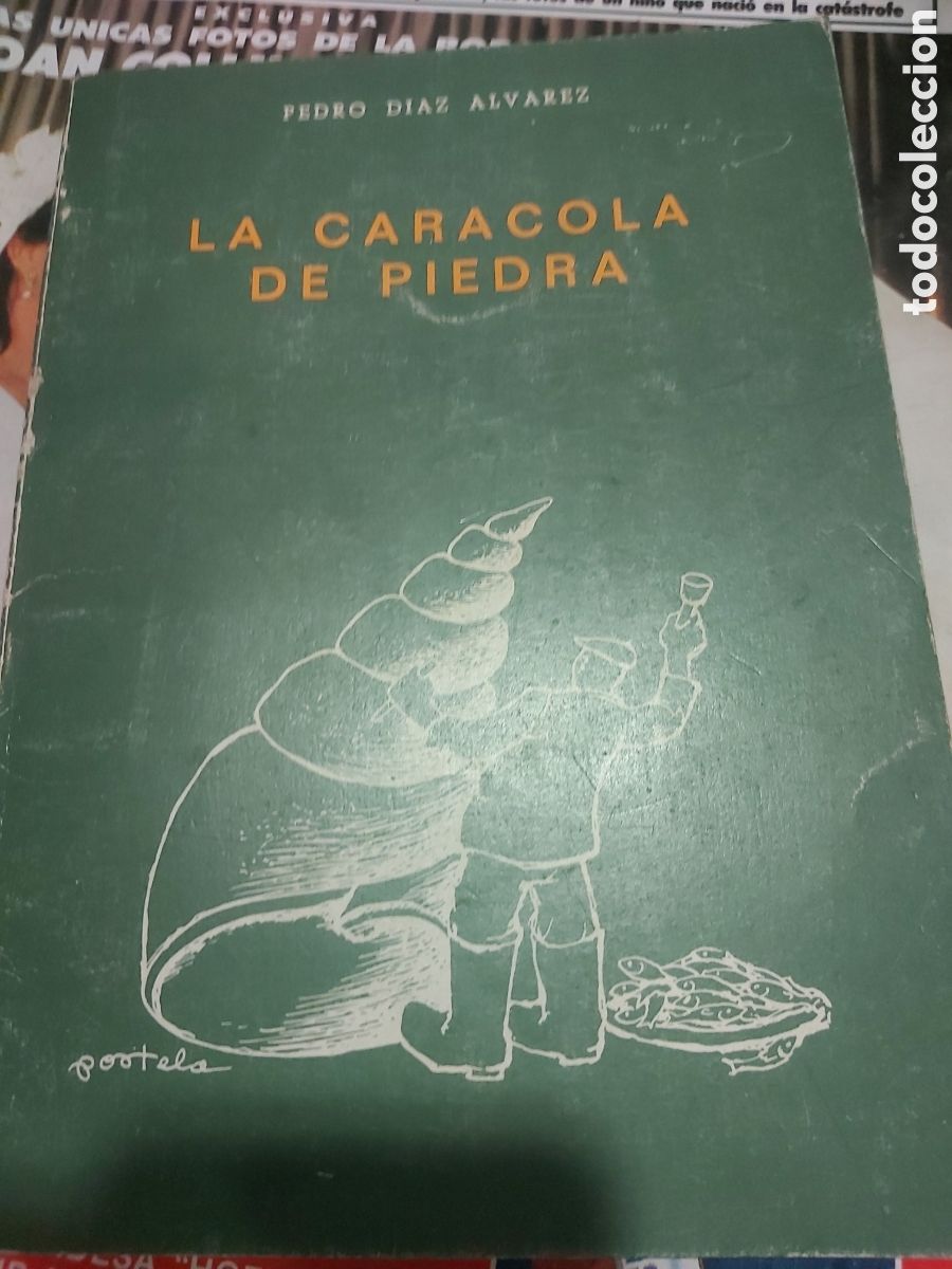 Libros de segunda mano: 1987 Pontevedra la caracola de piedra en Pedro D&iacute;az &Aacute;lvarez