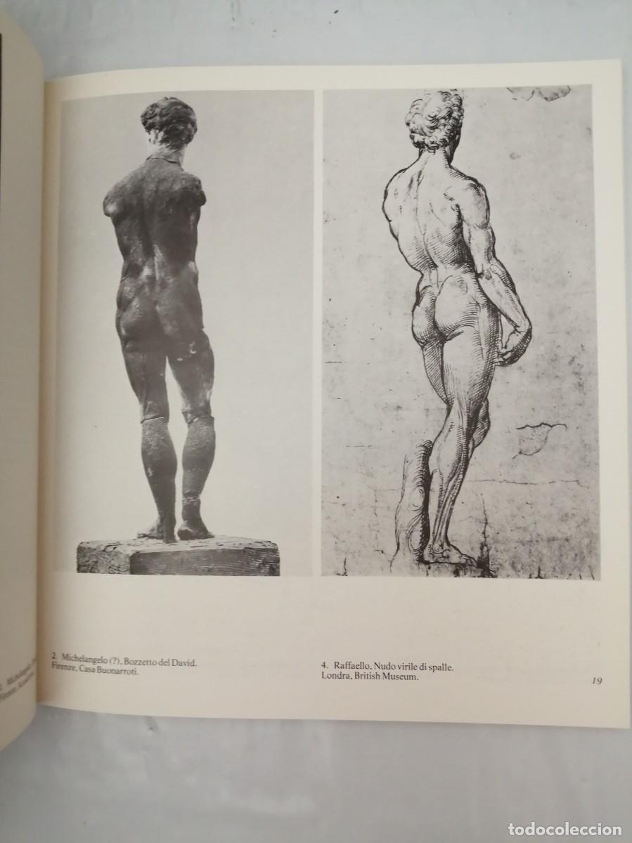 Libros de segunda mano: RAFFAELLO E MICHELANGELO BUONARROTI (CAT&Aacute;LOGO EXPOSICI&Oacute;N) - Foto 7