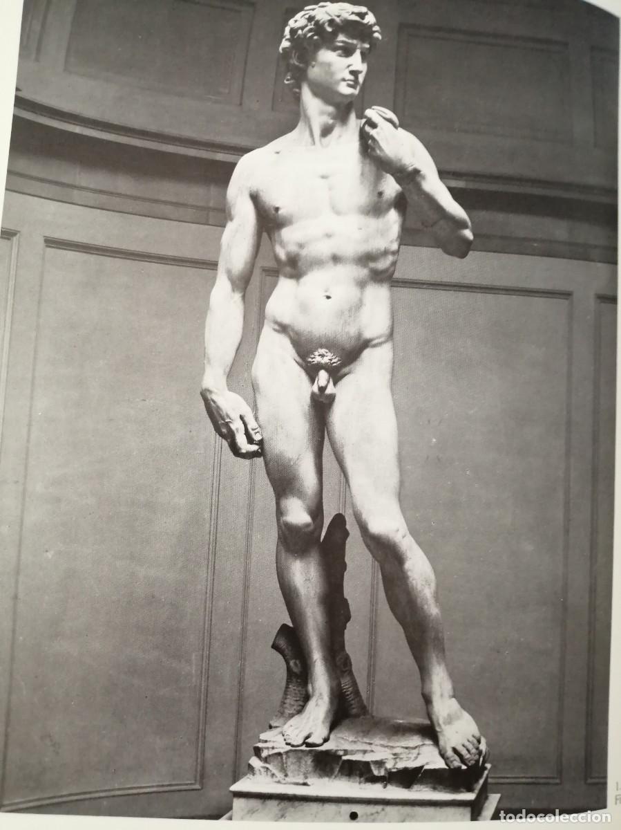 Libros de segunda mano: RAFFAELLO E MICHELANGELO BUONARROTI (CAT&Aacute;LOGO EXPOSICI&Oacute;N) - Foto 8