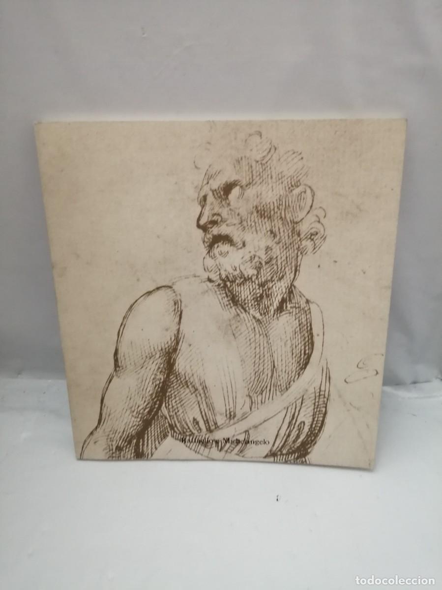 Libros de segunda mano: RAFFAELLO E MICHELANGELO BUONARROTI (CAT&Aacute;LOGO EXPOSICI&Oacute;N) - Foto 1